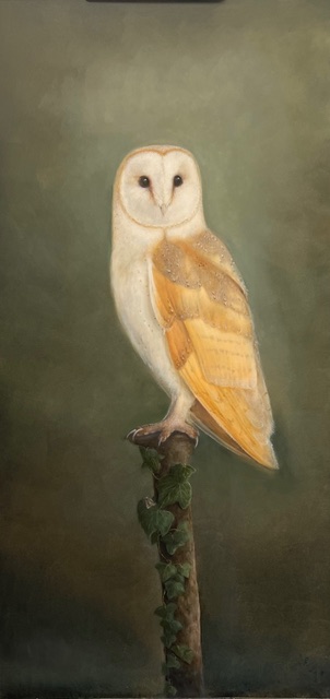 Barn Owl and Ivy