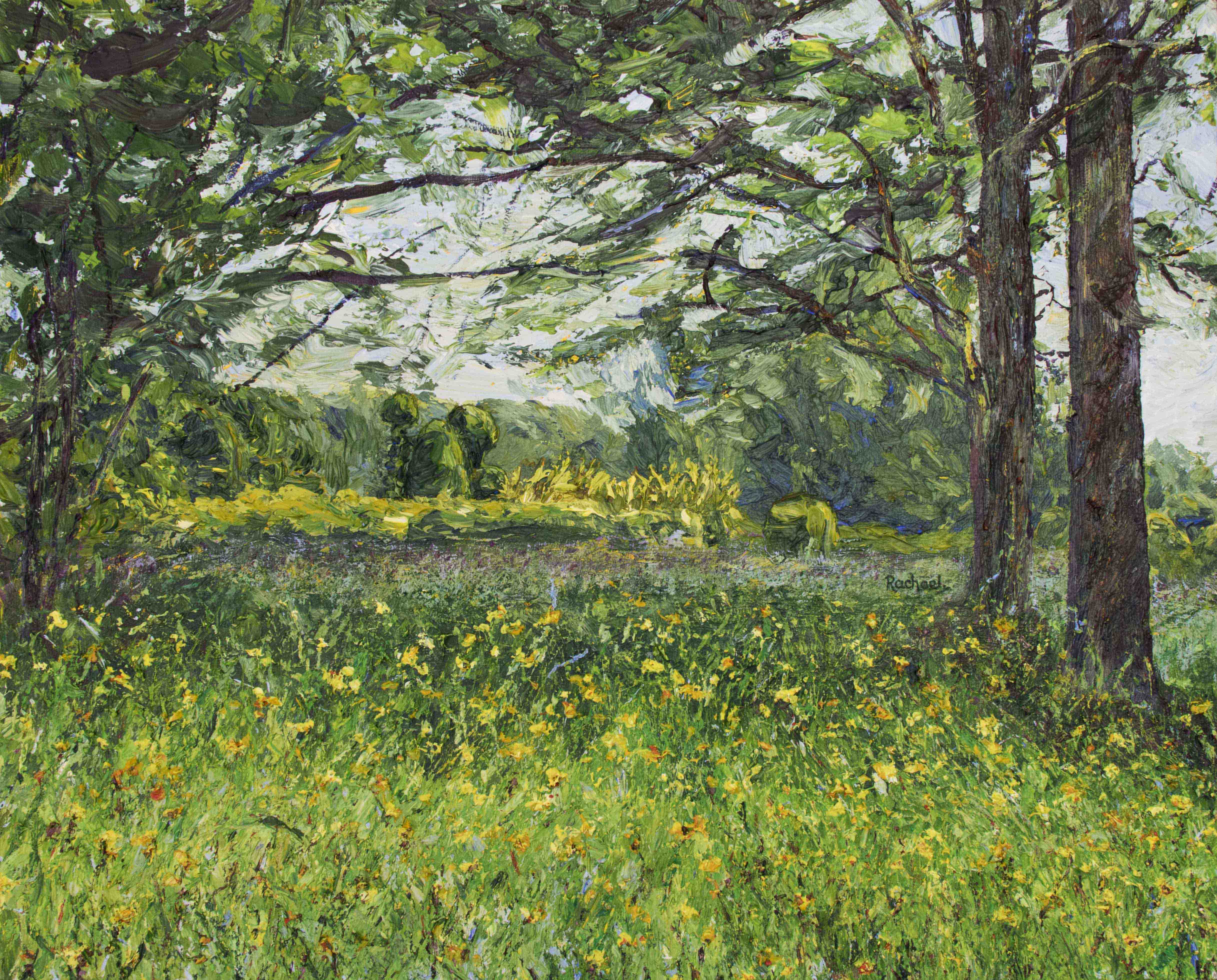 Beneath The Canopy