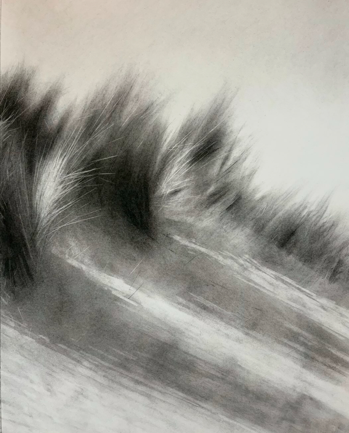 Coastal Grass