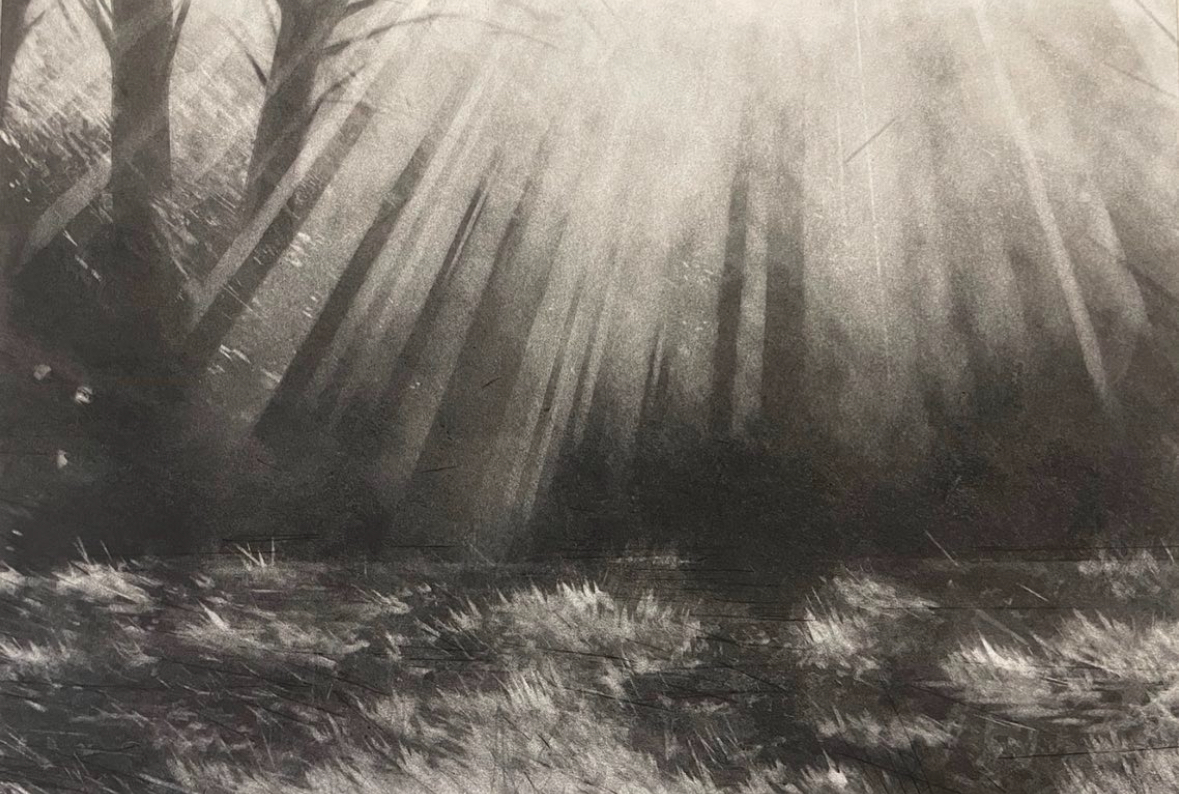 Into The Trees