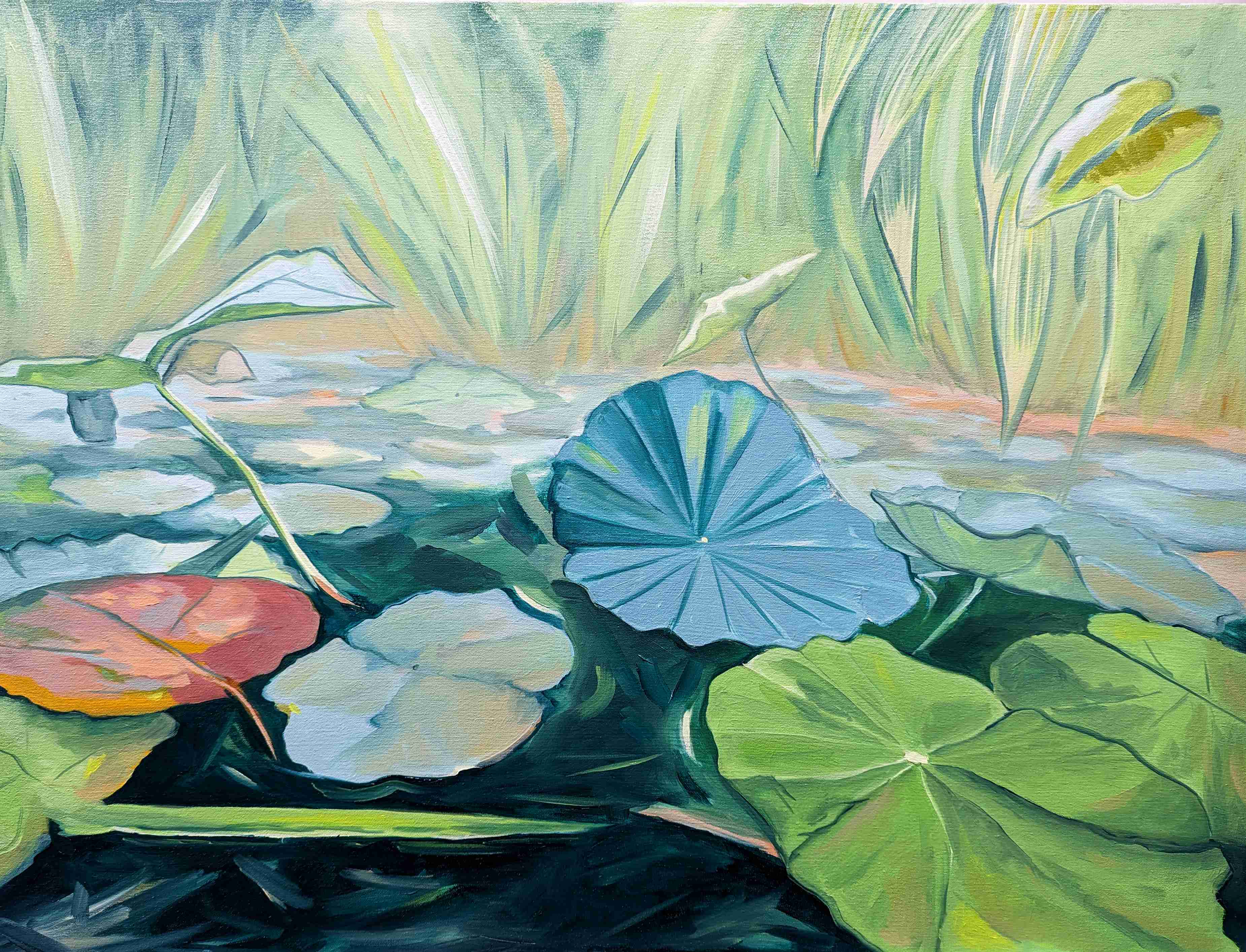 Lily Pad