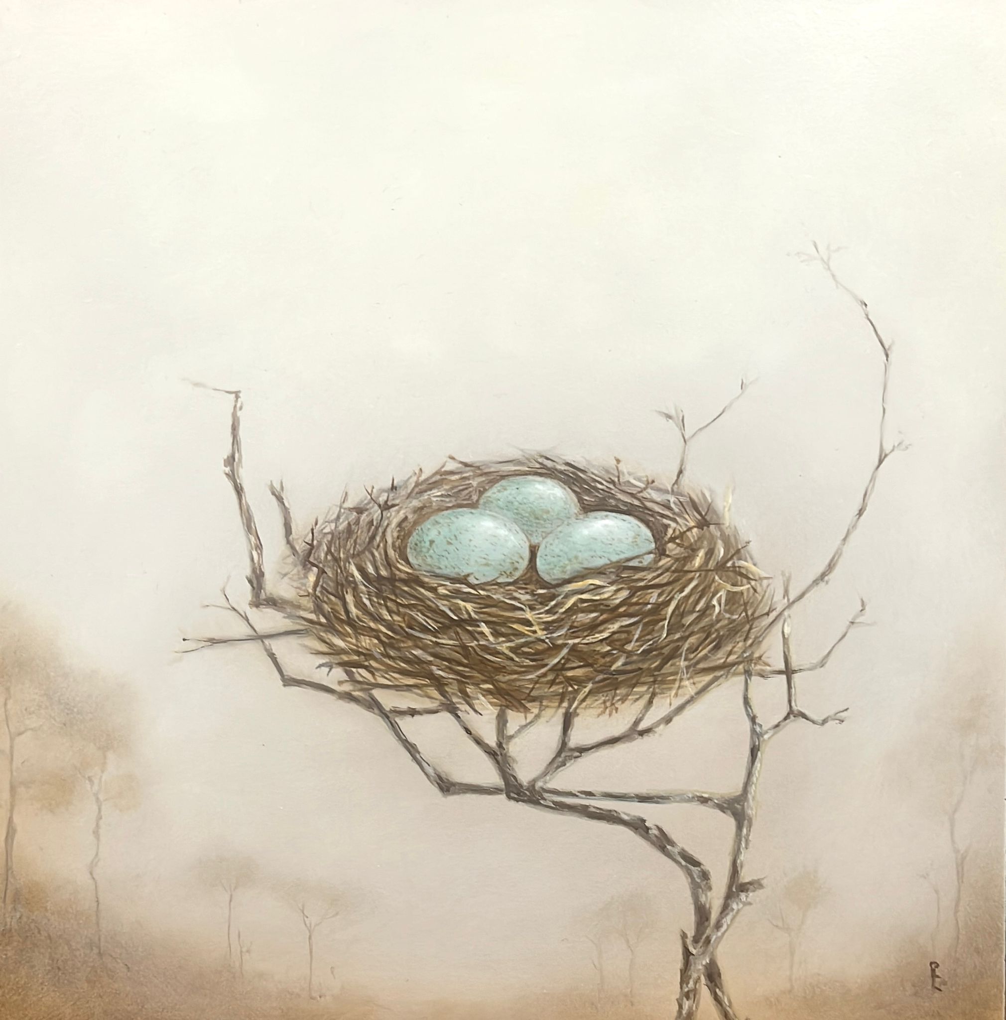 Nest in the mist