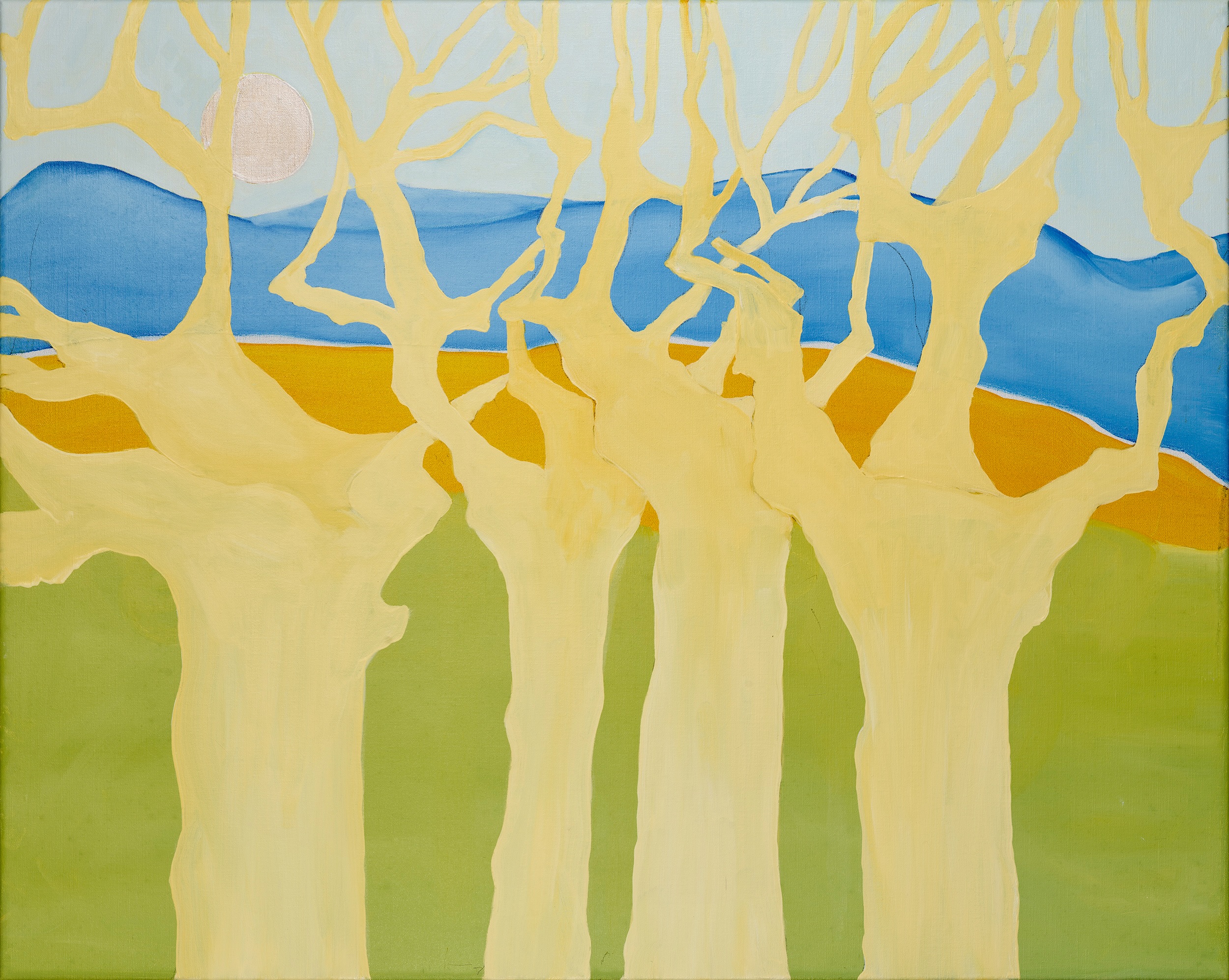 Plant Tree in Winter