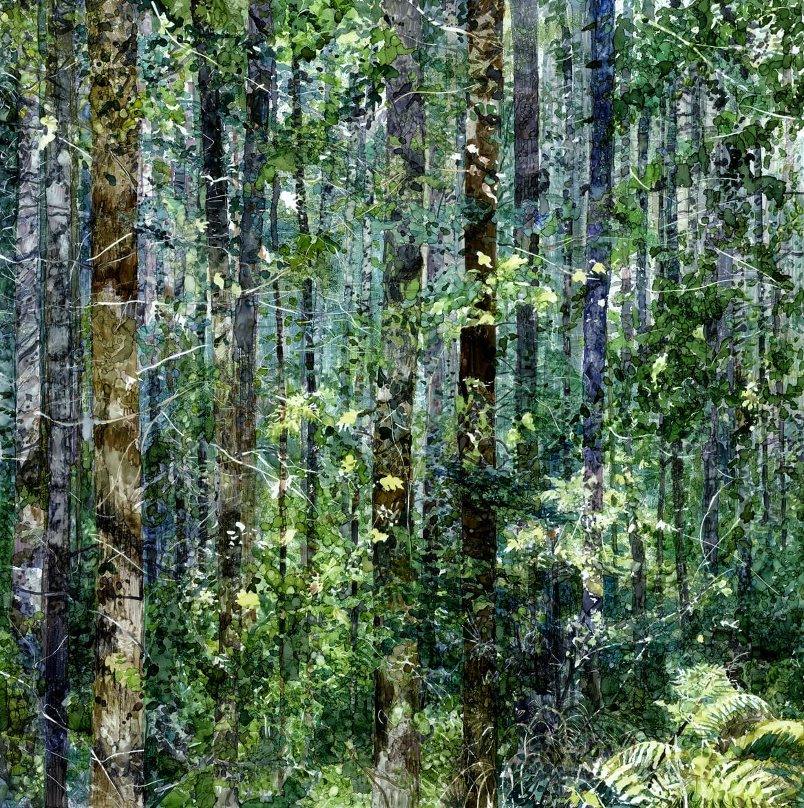 Hugset Wood with Fern