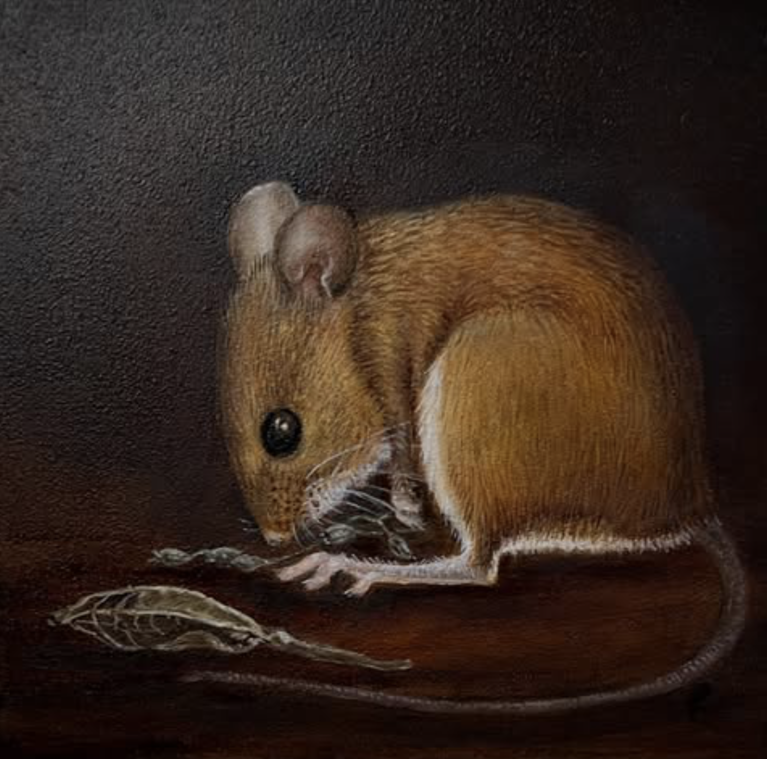 Tiny Wood Mouse and Seeds