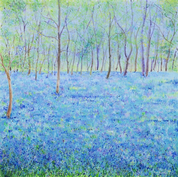 Spring Bluebells
