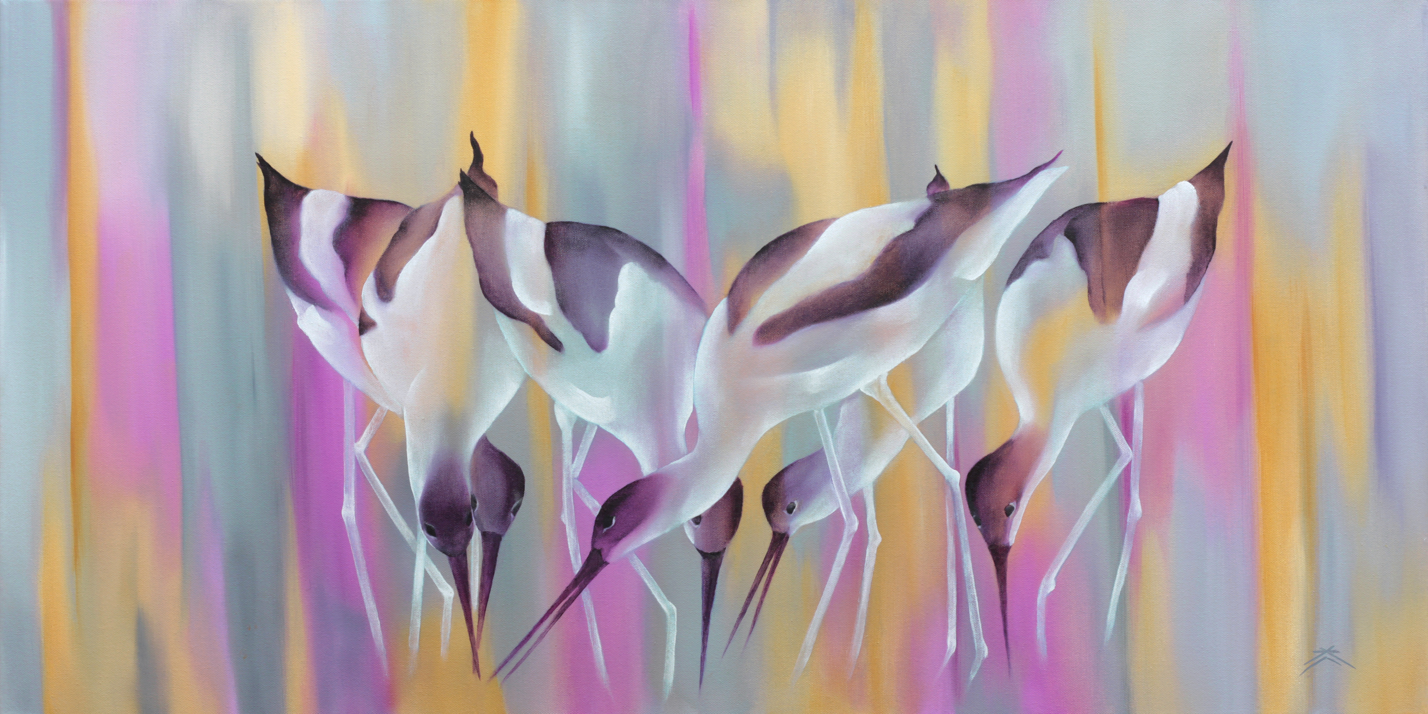 Avocets 09
