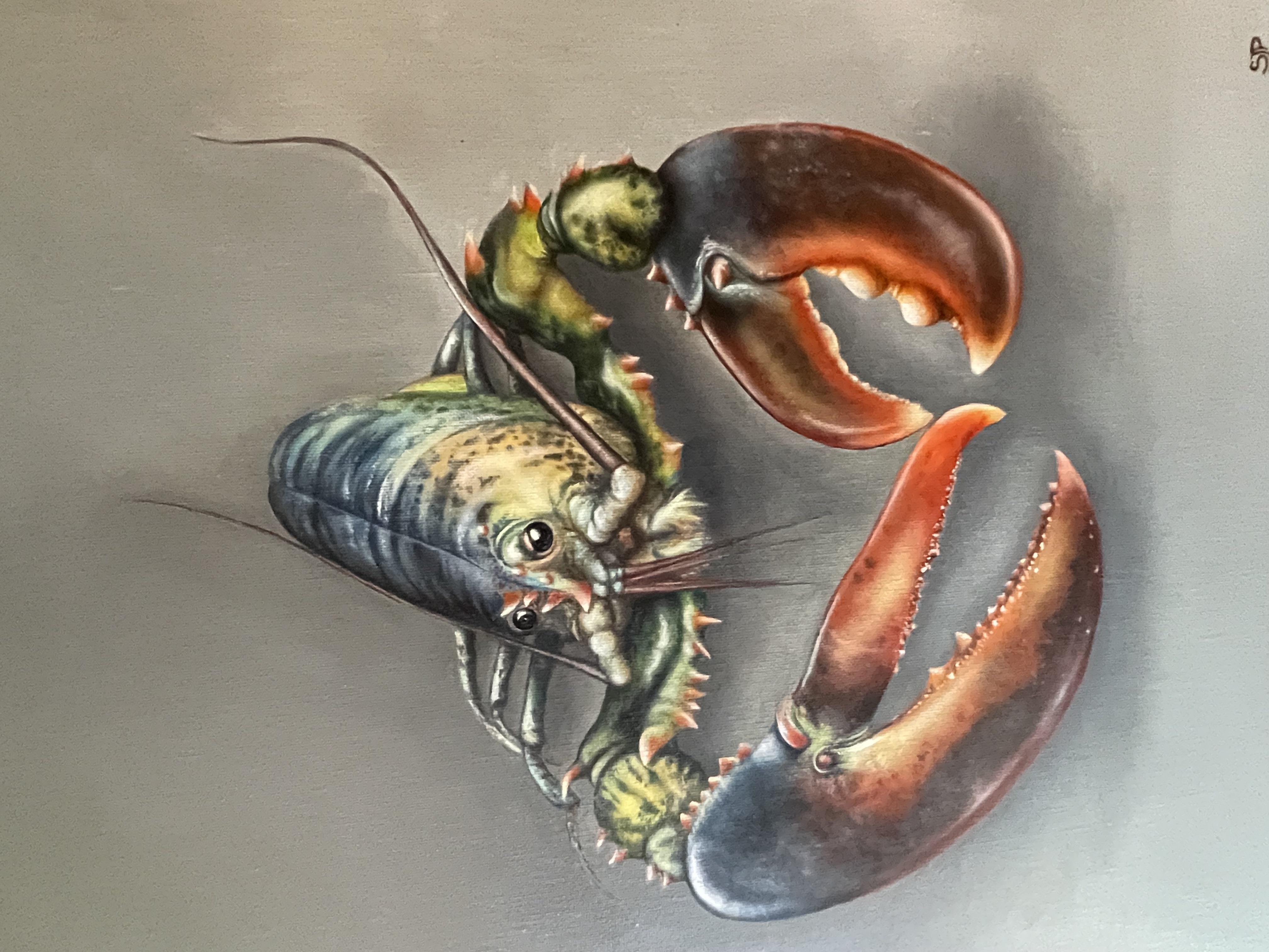 Coloured Lobster