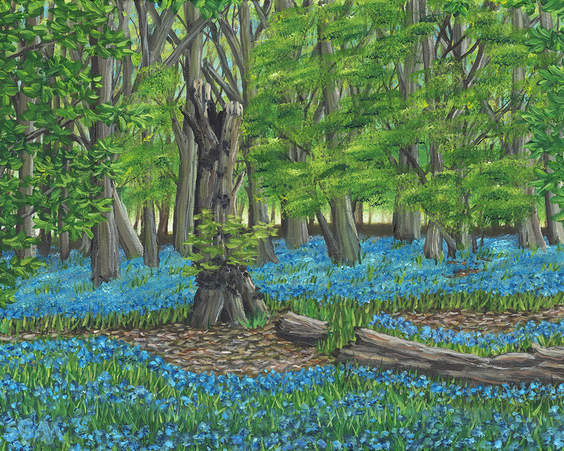 Thornborough Wooded Henge